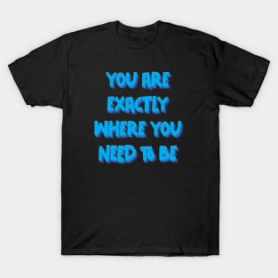 You are exactly where you need to be T-Shirt